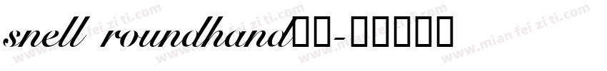 snell roundhand社团字体转换